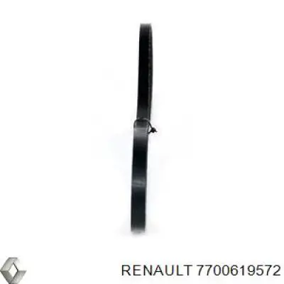 Correa de transmisión trapezoidal Renault (RVI) 7700619572 precio, desde 7,97 EUR