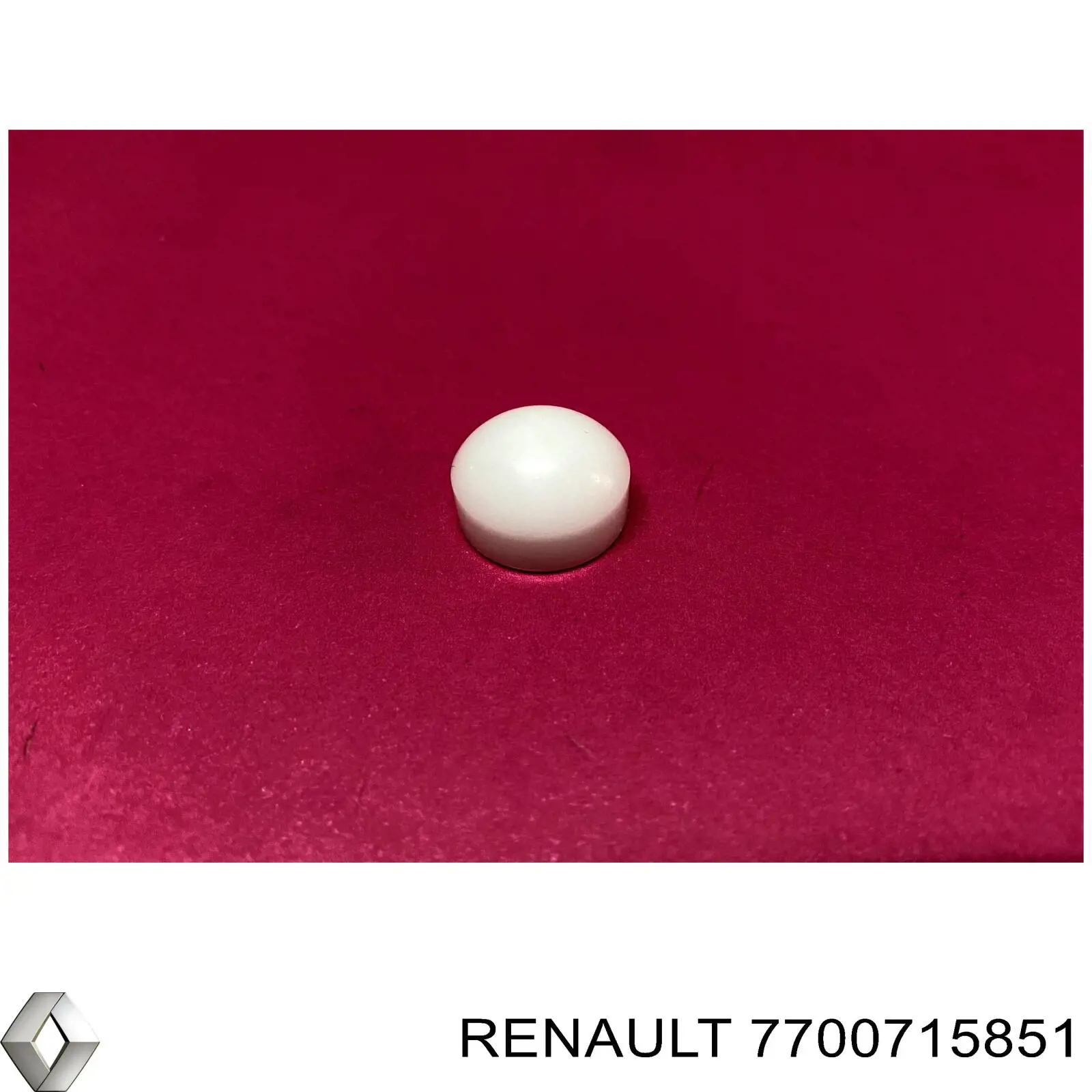 Buje de eje de horquilla de embrague Renault (RVI) 7700715851