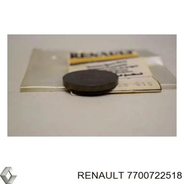 7700722518 Renault (RVI) 