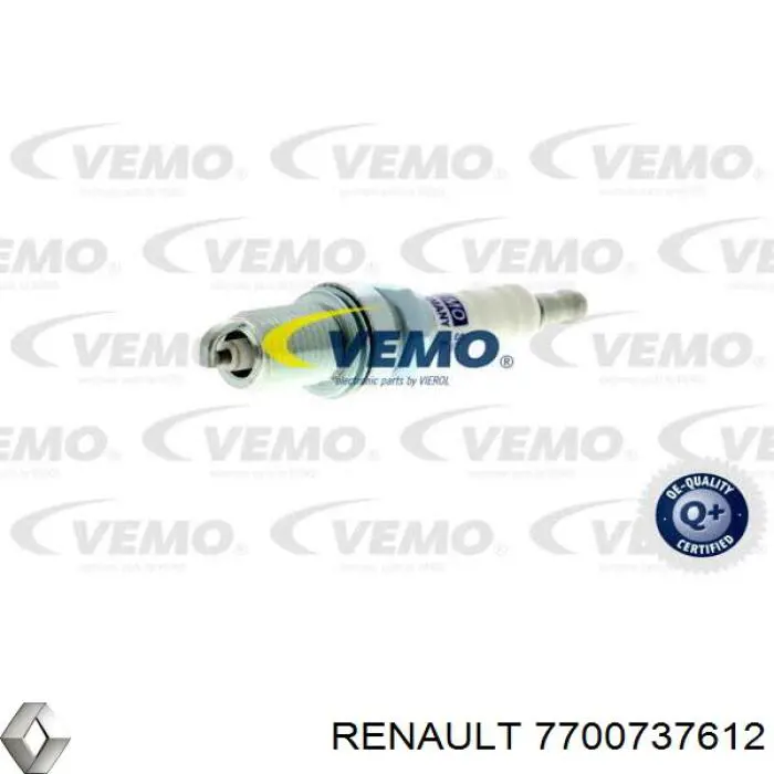 7700737612 Renault (RVI)