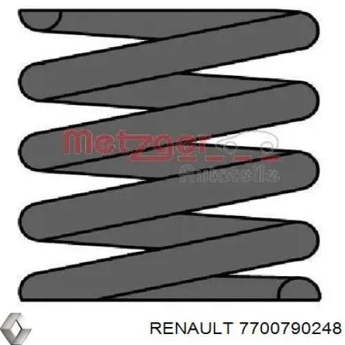 Amortiguador trasero 7700790248 Renault (RVI)