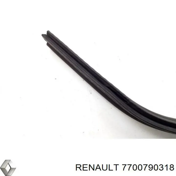 7700790318 Renault (RVI)