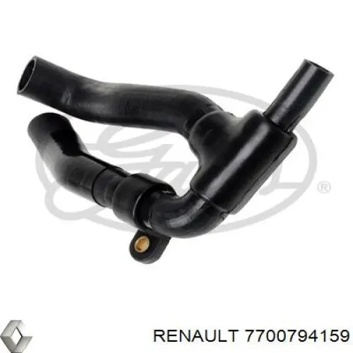 Manguera inferior del radiador Renault (RVI) 7700794159 precio, desde 31,26 EUR