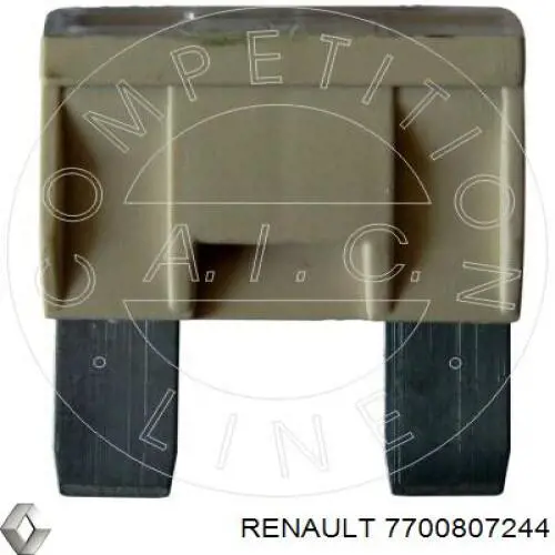 7700807244 Renault (RVI) fusible