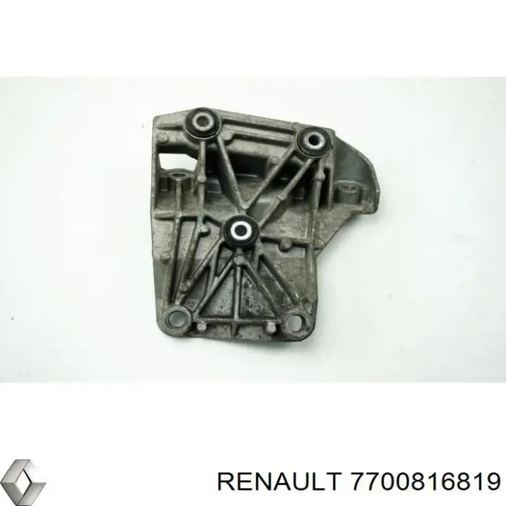 7700816819 Renault (RVI)