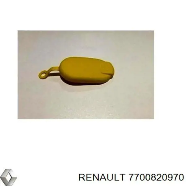 7700820970 Renault (RVI)