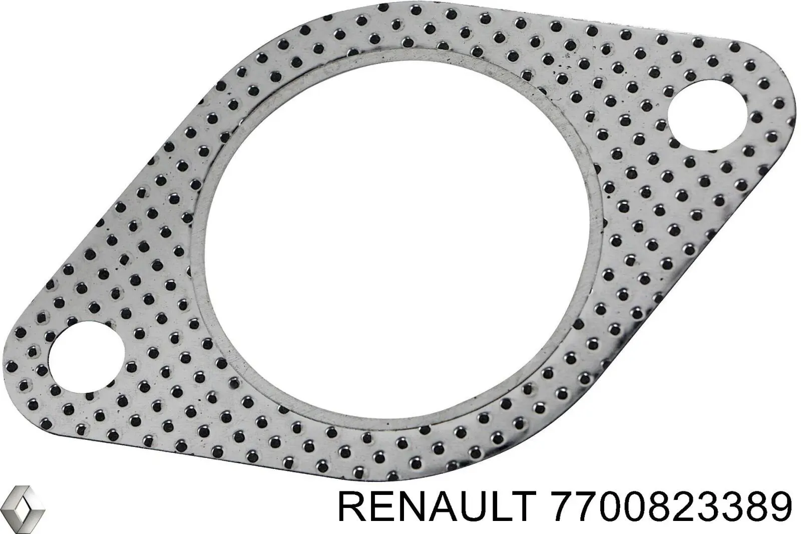 7700823389 Renault (RVI)