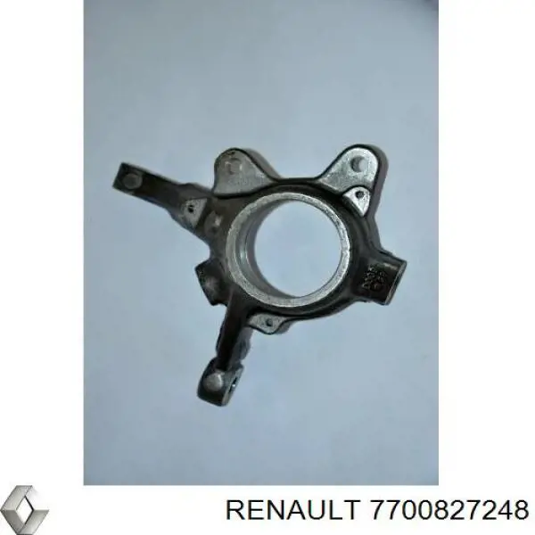 7700827248 Renault (RVI)