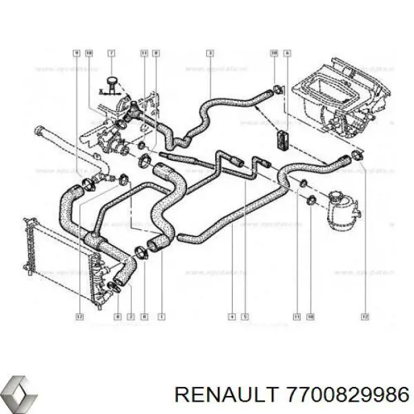 Manguera de radiador arriba para Renault Megane (DA0)