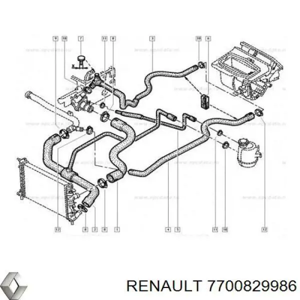 7700829986 Renault (RVI) tubería de radiador arriba