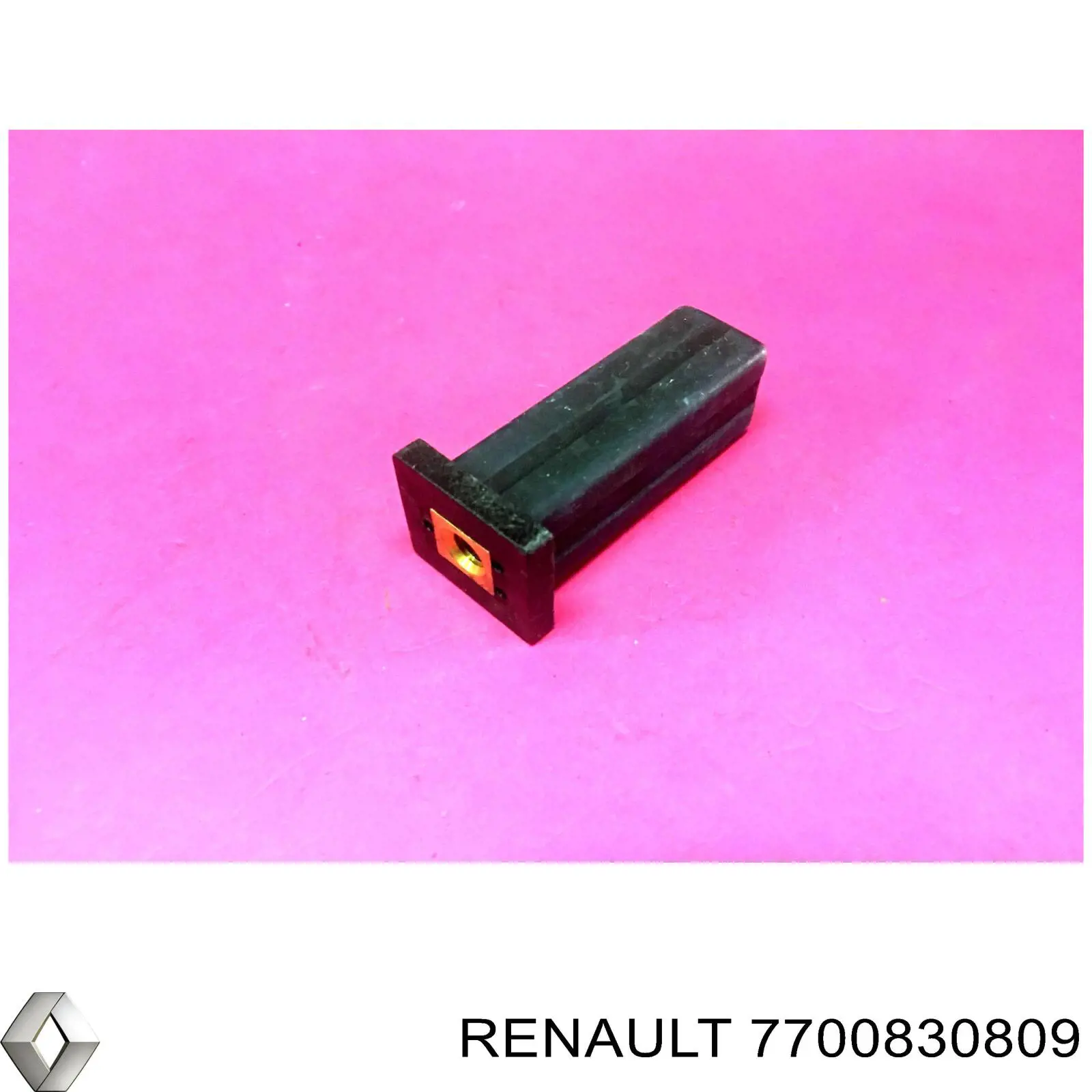 7700830809 Renault (RVI)