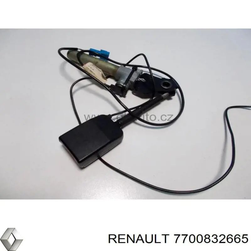 7700832665 Renault (RVI)