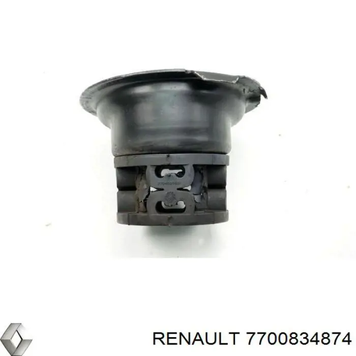 7700834874 Renault (RVI)