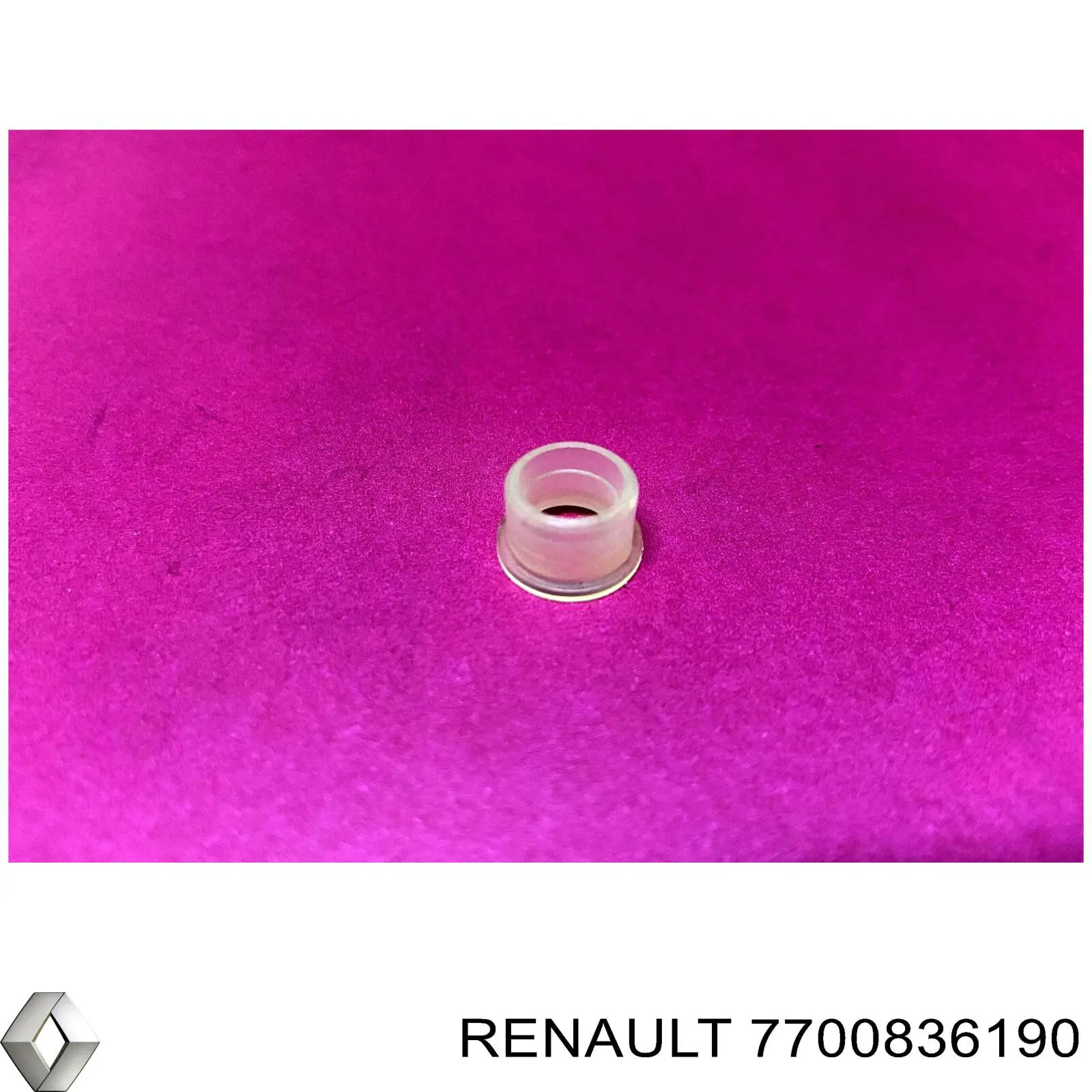 7700836190 Renault (RVI)