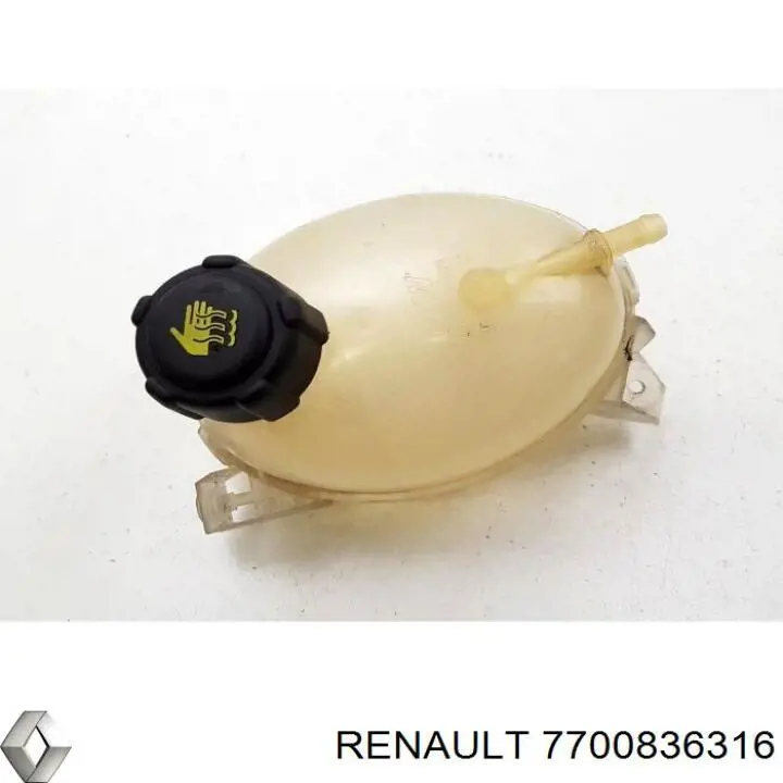 Botella expansion Renault (RVI) 7700836316 precio, desde 11,57 EUR