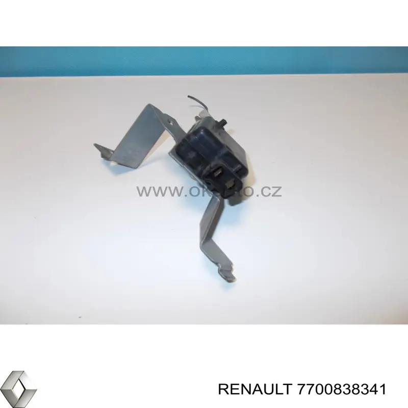 7700838341 Renault (RVI)