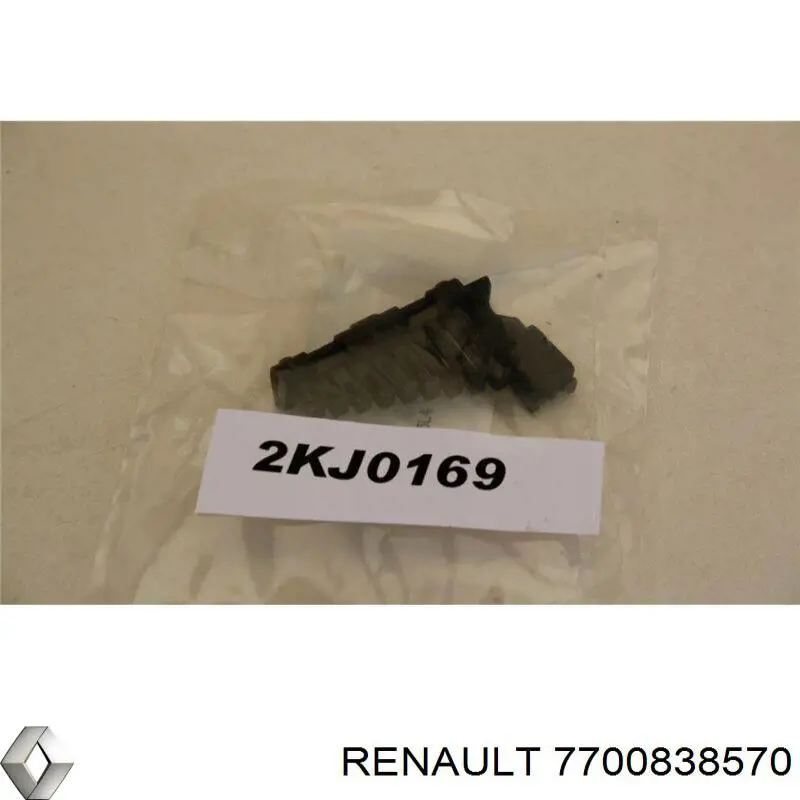 7700838570 Renault (RVI)