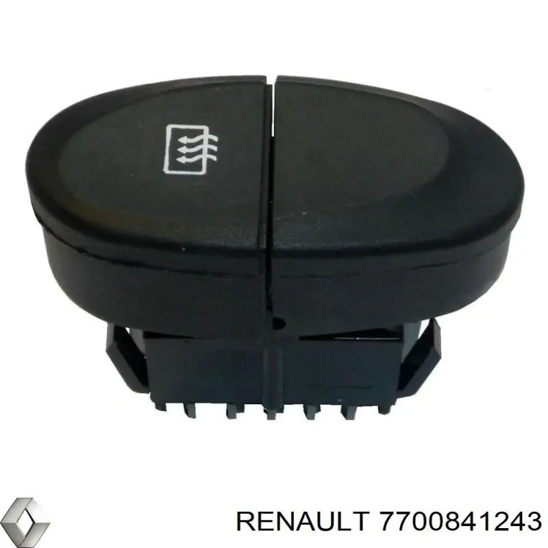 7700841243 Renault (RVI)