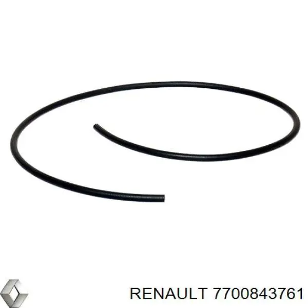 7700843761 Renault (RVI)