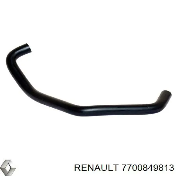 7700849813 Renault (RVI)