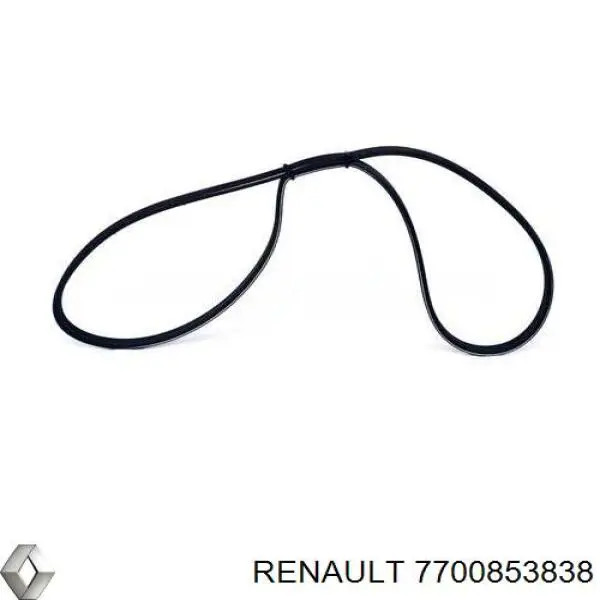 7700853838 Renault (RVI) correa trapezoidal
