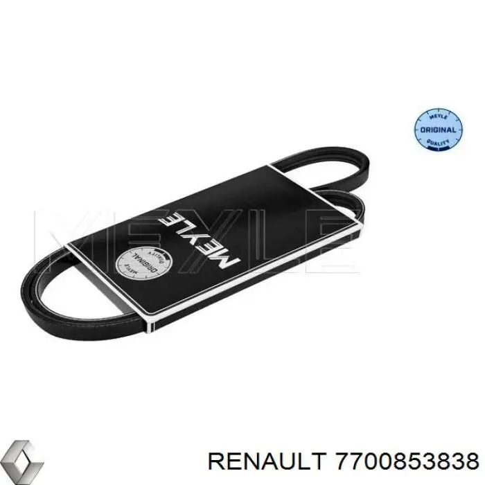 55211240 Fiat/Alfa/Lancia Correa poly v