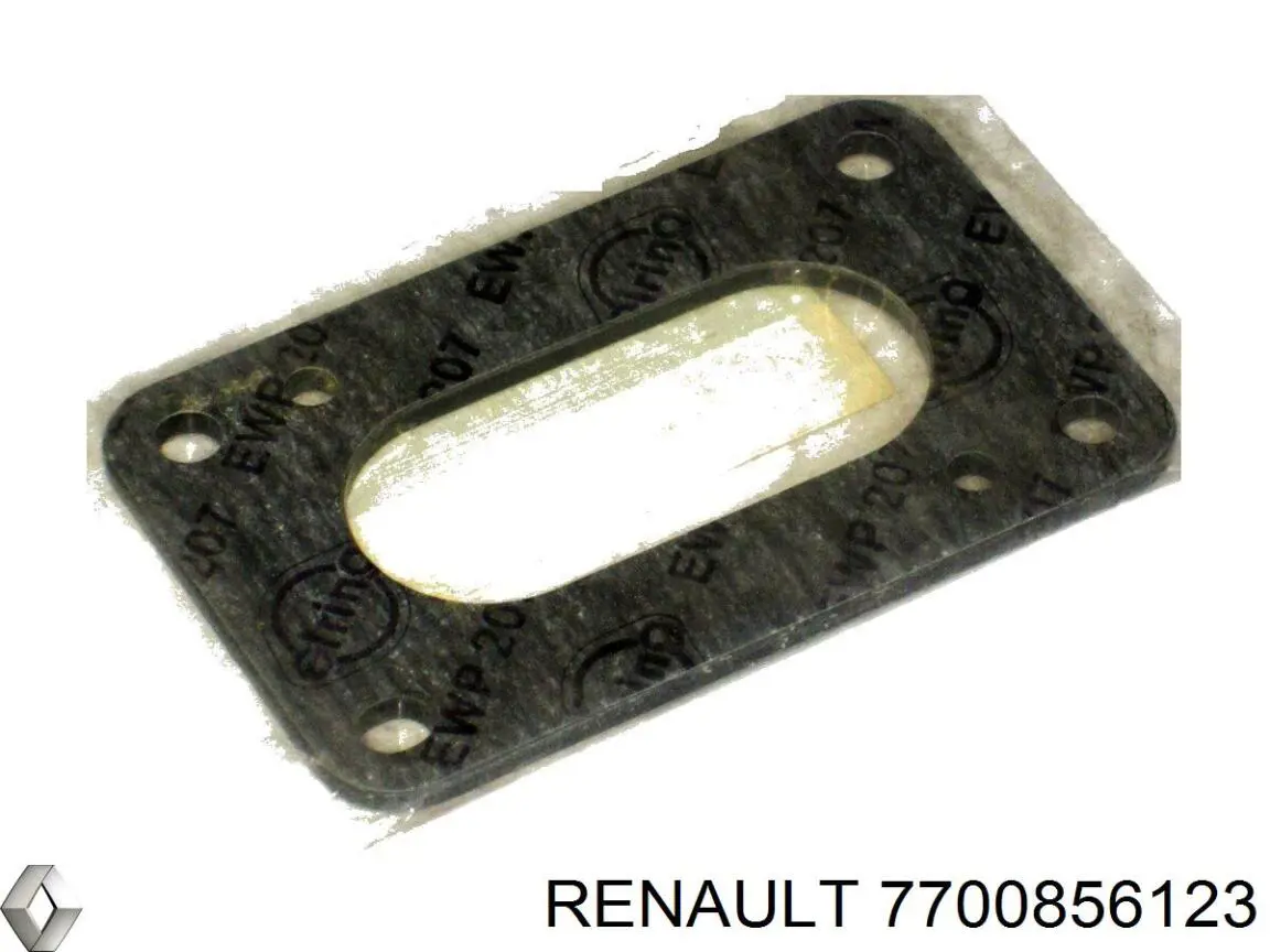 7700856123 Renault (RVI)