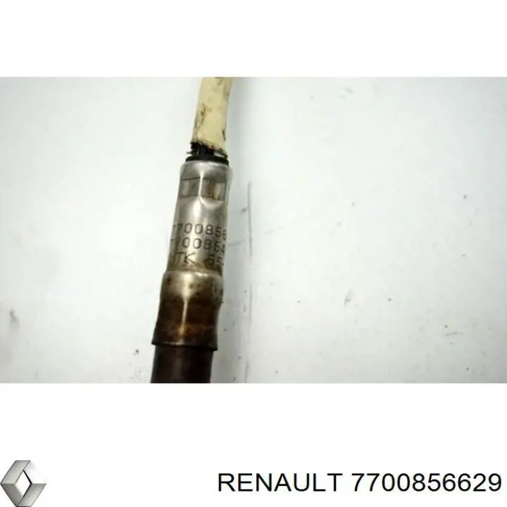 7700856629 Renault (RVI)