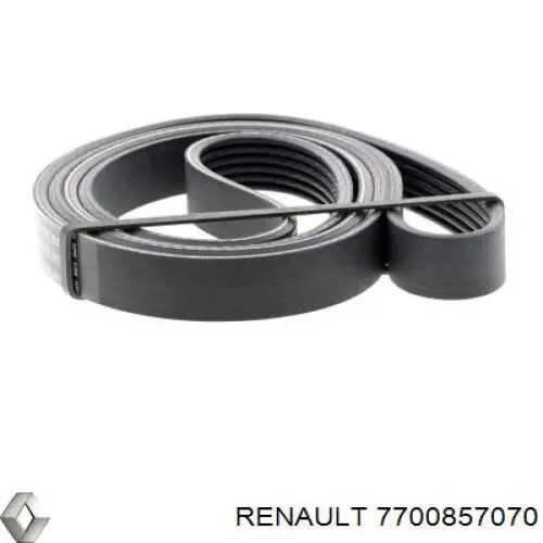 Correa de transmisión trapezoidal Renault (RVI) 7700857070 precio, desde 15,21 EUR