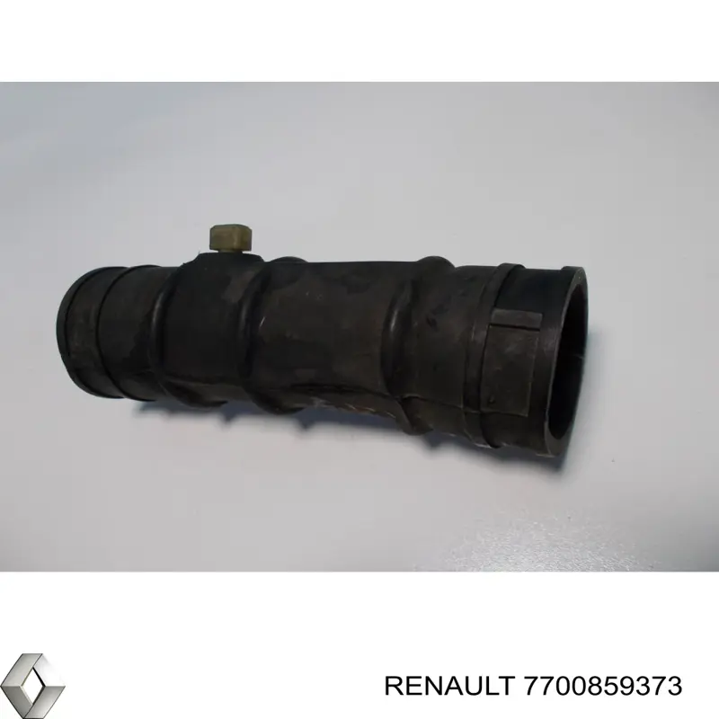 7700859373 Renault (RVI)