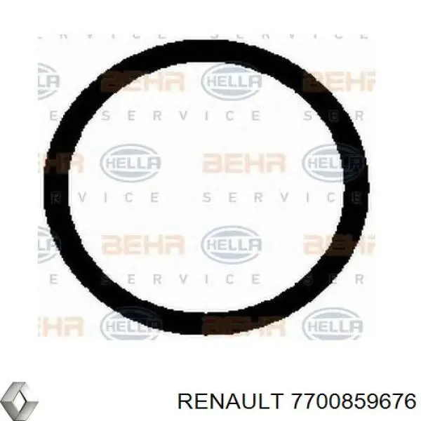 7700859676 Renault (RVI) compresor de aire acondicionado
