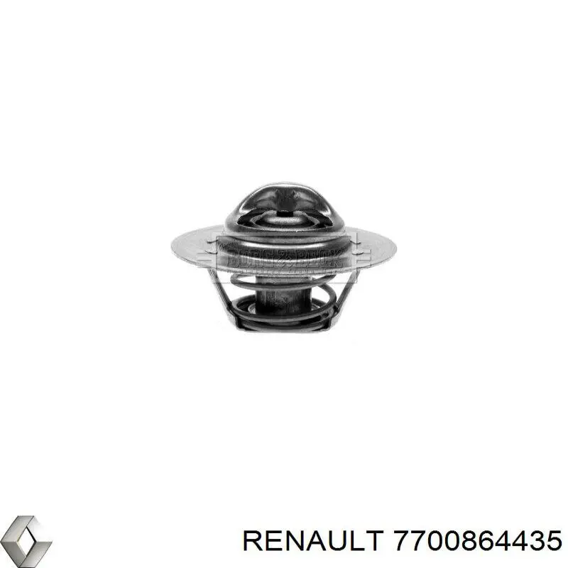 7700864435 Renault (RVI)