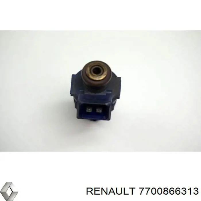 7700866313 Renault (RVI)