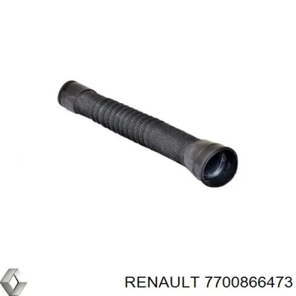 7700866473 Renault (RVI)