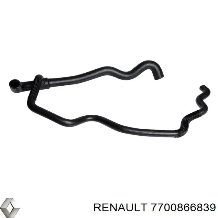 7700866839 Renault (RVI)