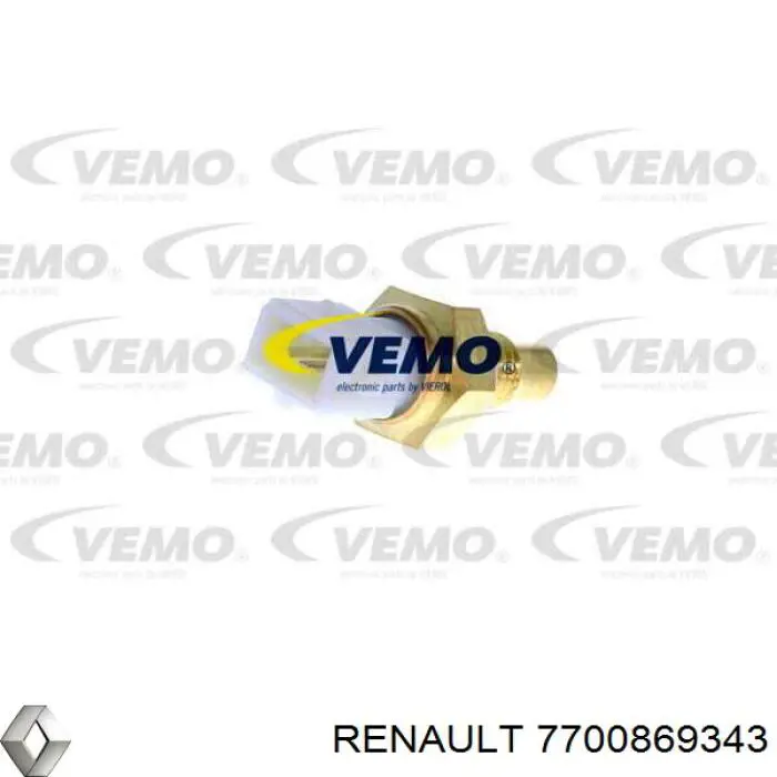 7700869343 Renault (RVI)