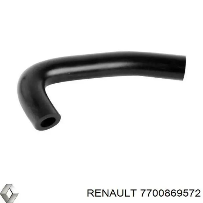 7700869572 Renault (RVI)