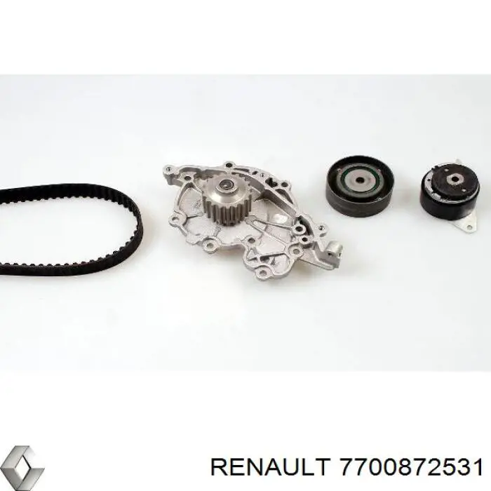 7700872531 Renault (RVI) rodillo, cadena de distribución