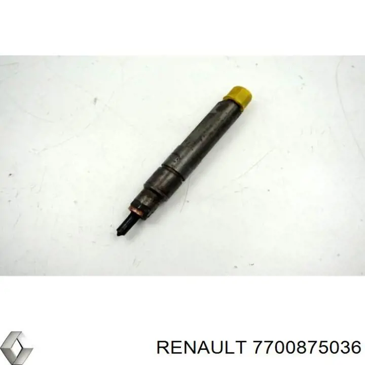 7700875036 Renault (RVI)