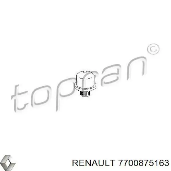 7700875163 Renault (RVI) buje de eje de horquilla de embrague