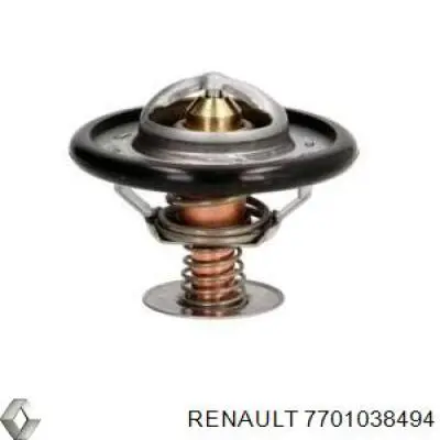 7701038494 Renault (RVI) termostato
