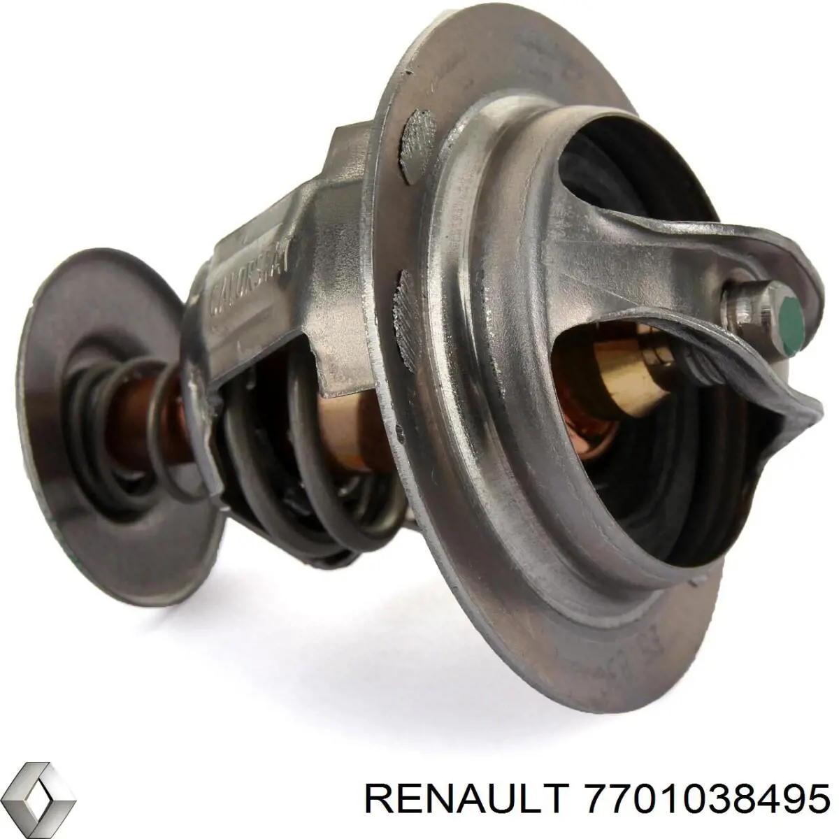 7701038495 Renault (RVI)