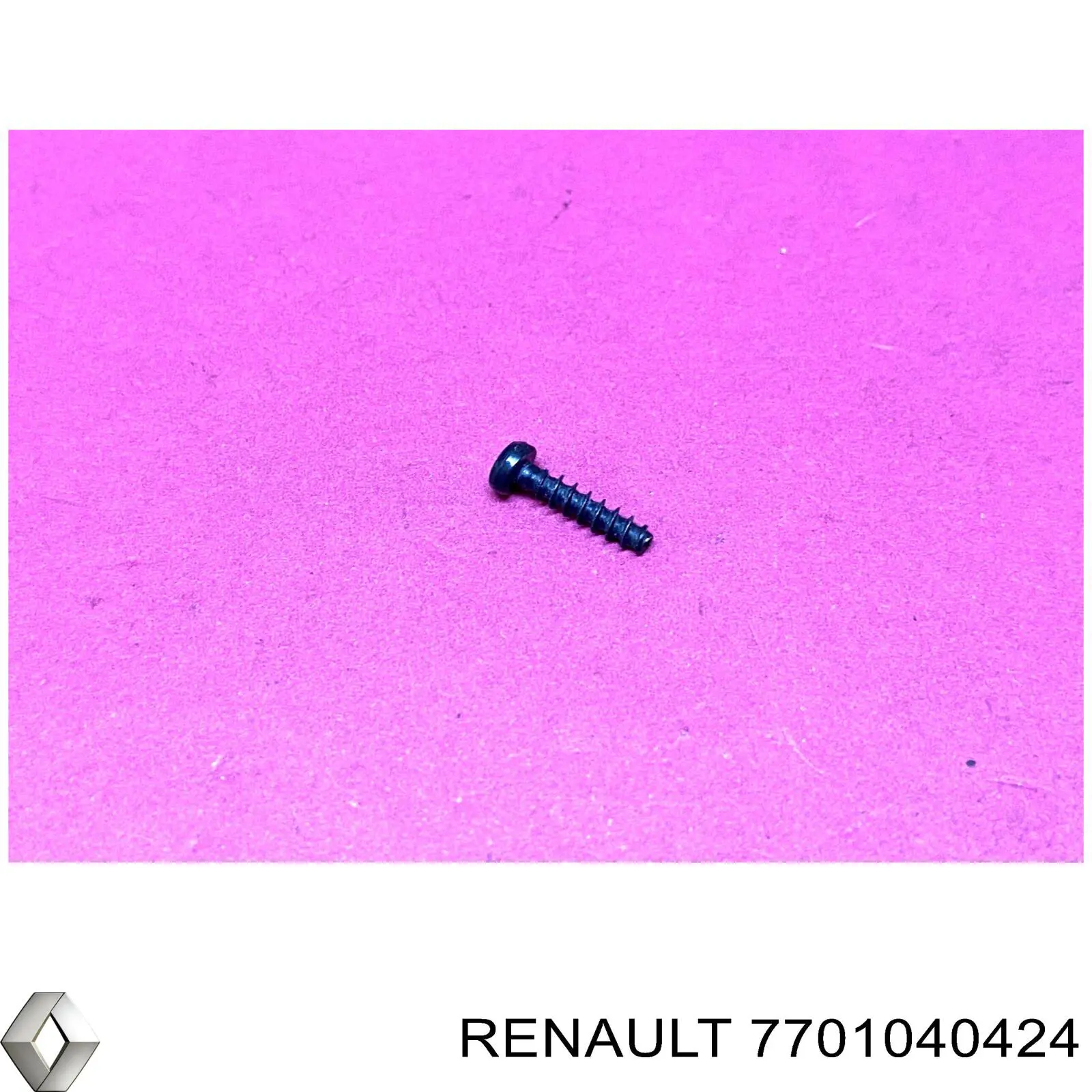 7701040424 Renault (RVI)