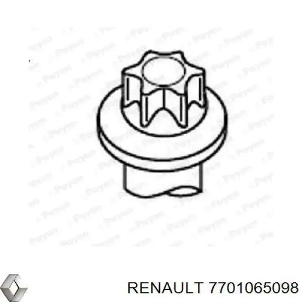 7701065098 Renault (RVI) tornillo de culata