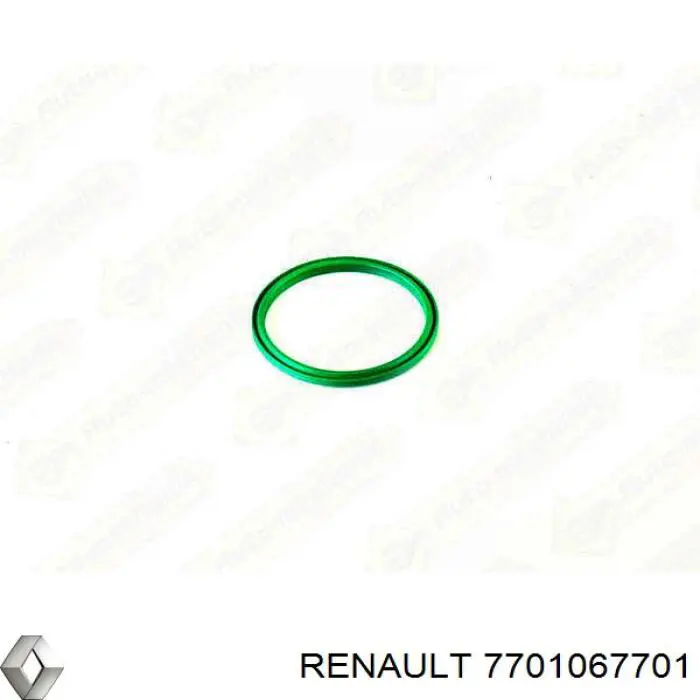 Comprar 7701067701 Renault (RVI) Junta tórica del tubo del intercooler