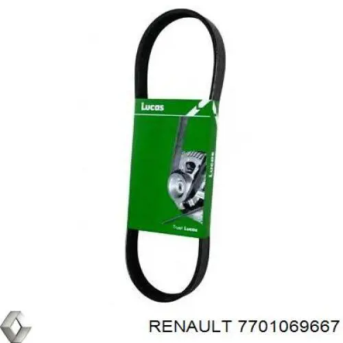 Correa de alternador 7701069667 Renault (RVI)