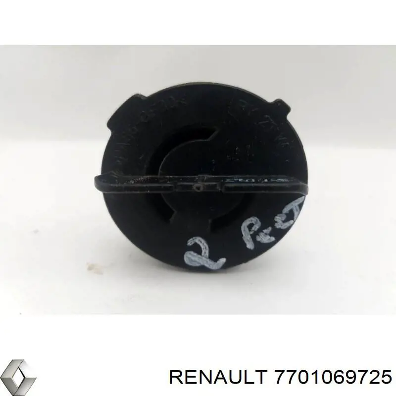 7701069725 Renault (RVI)