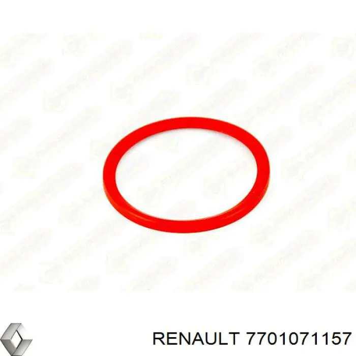 7701071157 Renault (RVI) aniloo, boquilla de turbina