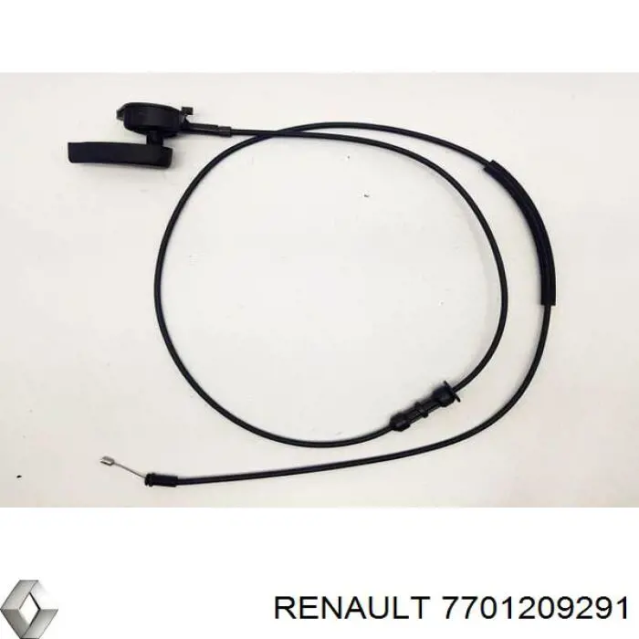 7701209291 Renault (RVI)