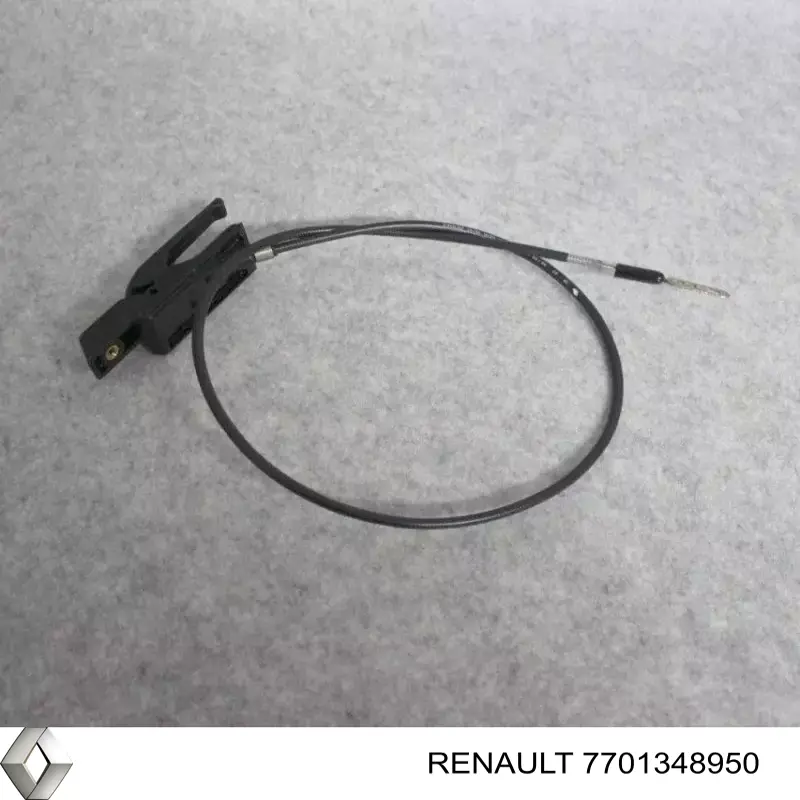 7701348950 Renault (RVI)